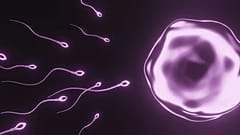 Weltweit geht die Zahl der Spermien zurück