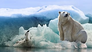 Global warming cannot be limited to 1.5 degrees Celsius without protecting nature, say campaigners.