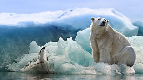 Global warming cannot be limited to 1.5 degrees Celsius without protecting nature, say campaigners.