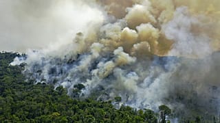 Amazzonia