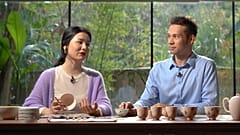 Wie chinesisches Porzellan die europäische Töpferkunst prägte