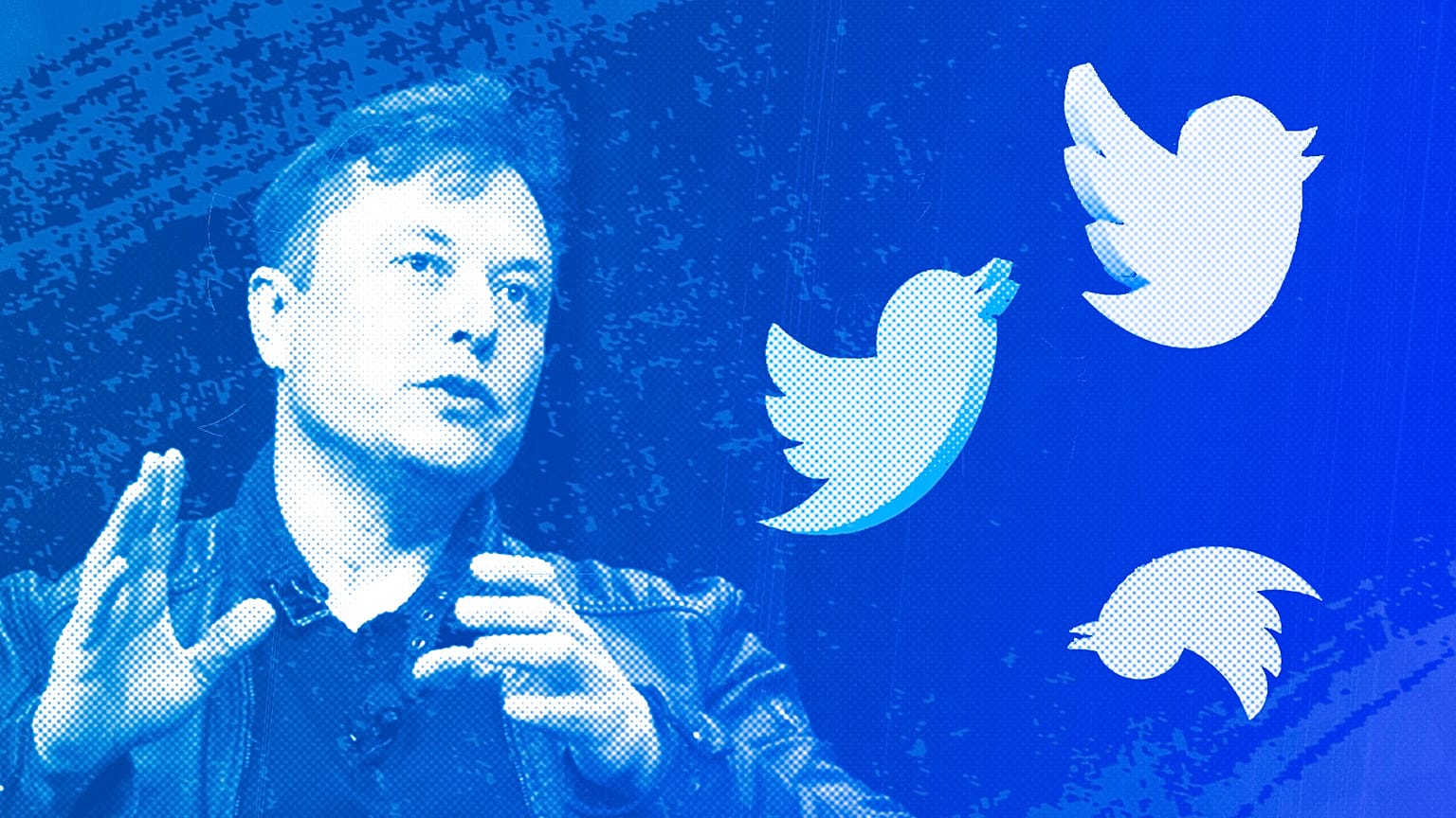 Elon Musk and Twitter logos