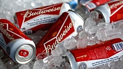 Cannette de bière, 5 mars 2015