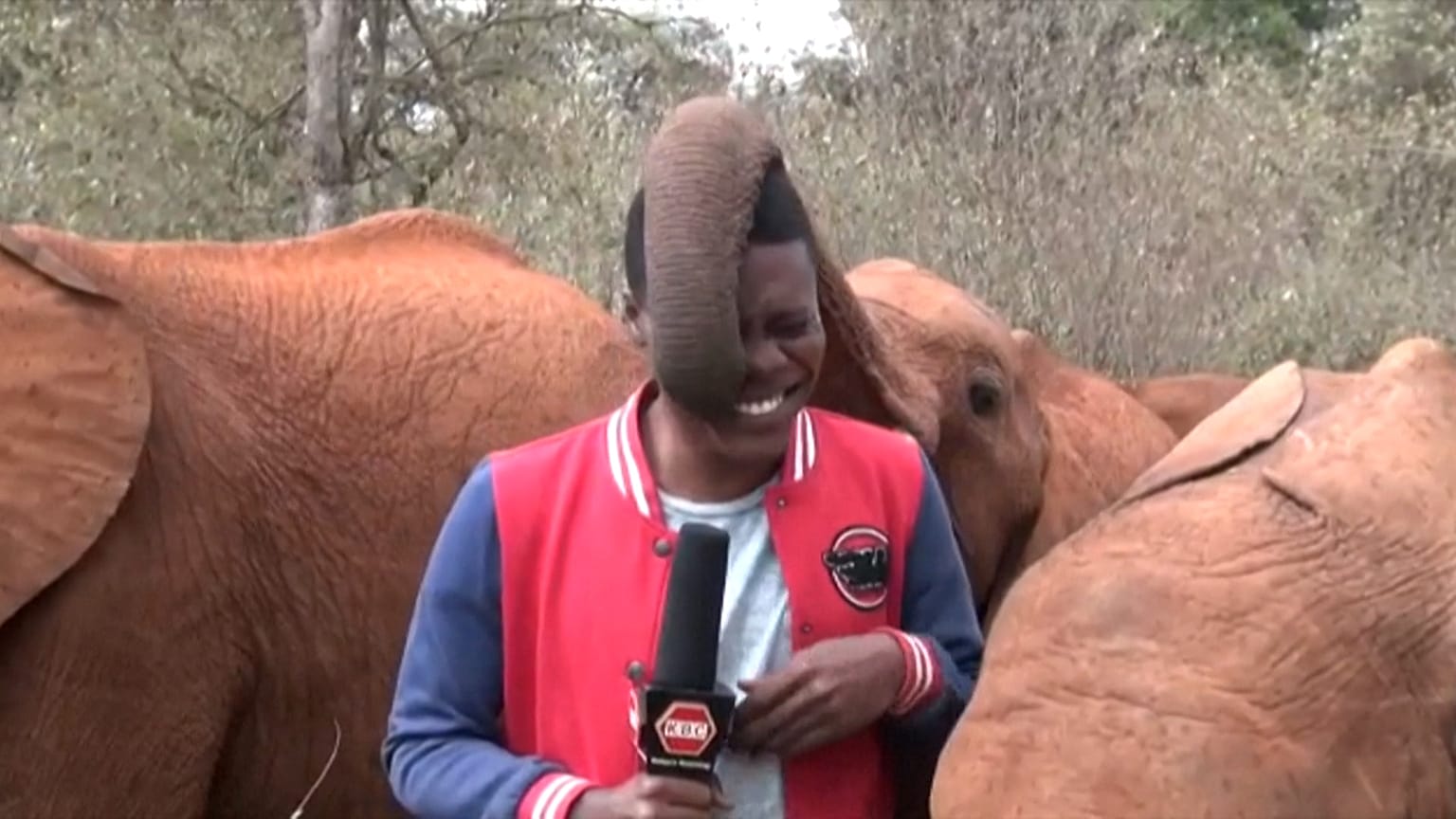 No comment videos of the week