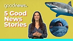5 Good News Stories
