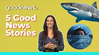 5 Good News Stories