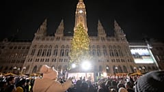 Die 28 Meter hohe Fichte in Wien ist erleuchtet
