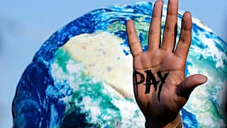 COP27