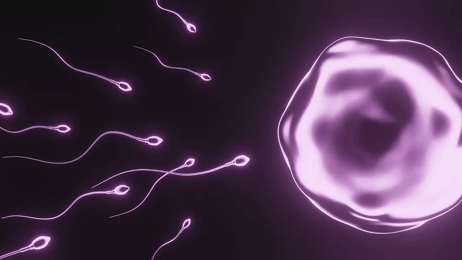 Selon les chercheurs, le nombre de spermatozoïdes dans le monde a chuté de 50 % au cours des cinq dernières décennies - et cette baisse s'accélère.