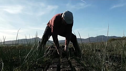 Mickey O'Donnell picking up turf