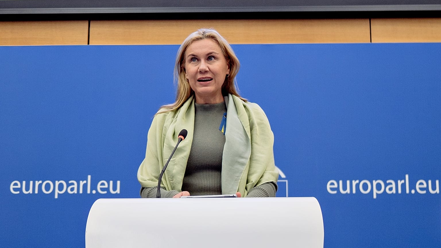Kadri Simson, European Commissioner for energy, said the price cap proposal was a "balancing act" to minimise risks.