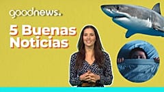 5 buenas noticias para sentirse bien
