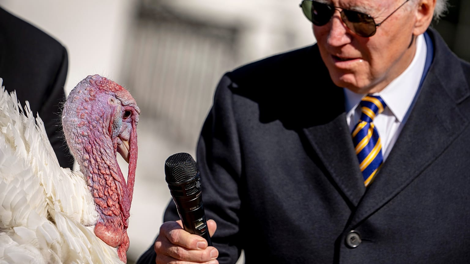 US-Präsident Biden begnadigt die Truthähne Chocolate und Chip vor Thanksgiving