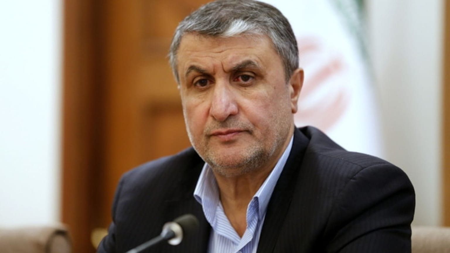 محمد اسلامی، رئیس سازمان انرژی اتمی ایران