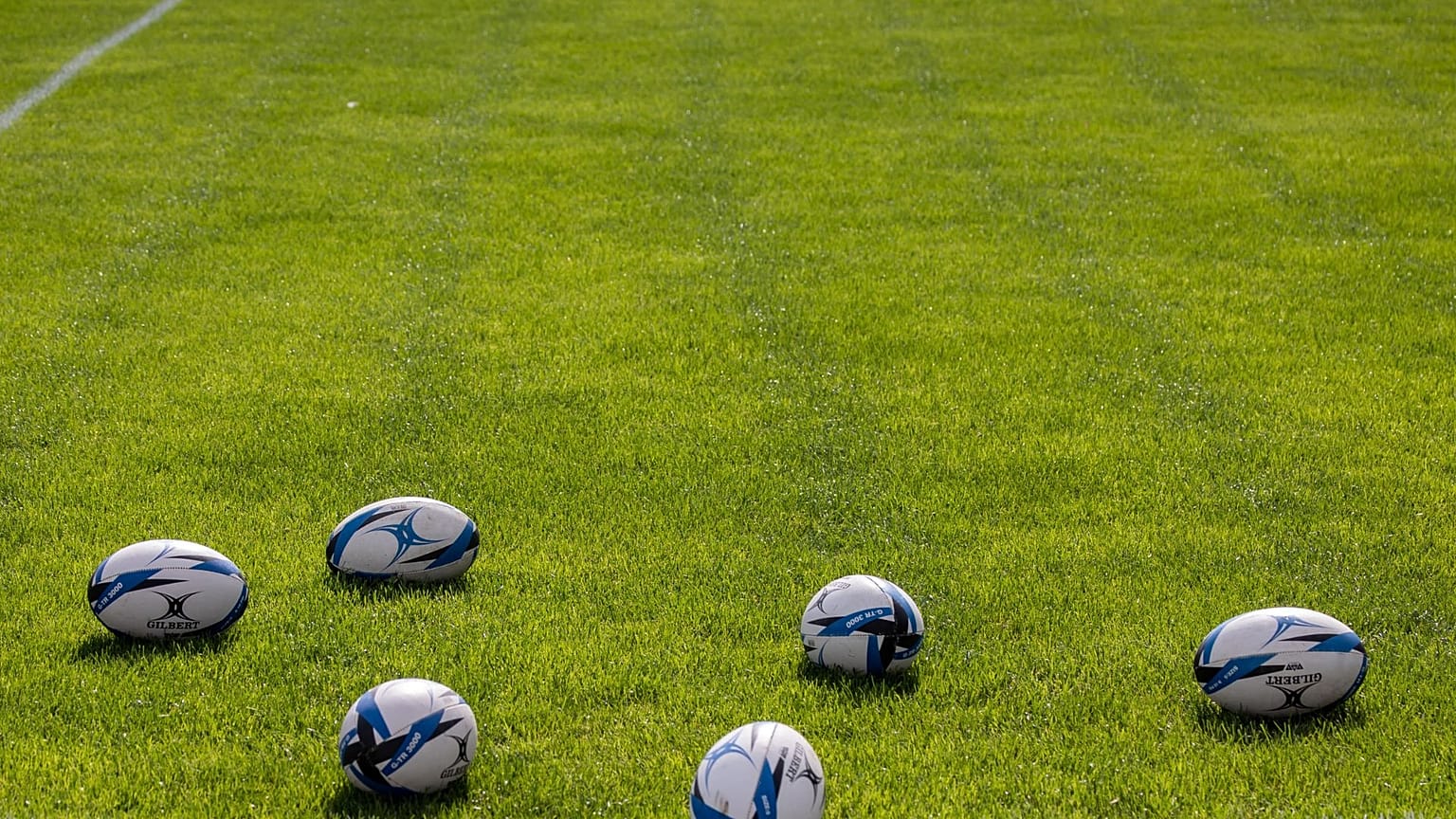 Stade de rugby