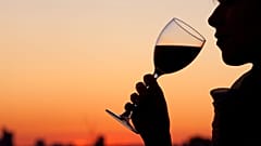 Alcohol can have a detrimental effect on a foetus' brain development