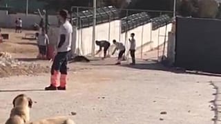 Konya'da hayvanlara işkenceden 2 gözaltı