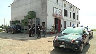 Italian police searched for Saman Abbas after she disappeared from Novellara.