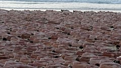 Bondi Beach