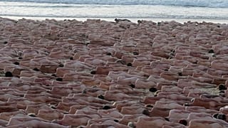 Bondi Beach