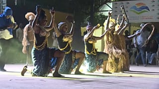 Senegalese celebrate their rich culture in Dakar carnival