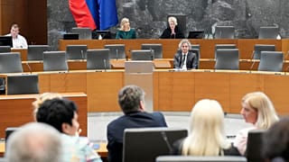 Prime Minister Robert Golob addresses Slovenia's parliament after his government was appointed in June.