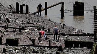 People mudlark on the banks of the River Thames looking for historic artefacts, coins, clay pipes or Roman pottery, in London