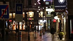 Kutyasétáltatás az esti Bécsben