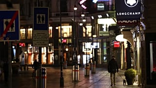 Kutyasétáltatás az esti Bécsben