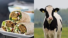 The University of Stirling student union will transition to '100 per cent plant-based catering' within three years.