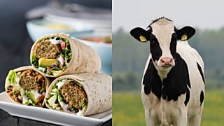The University of Stirling student union will transition to '100 per cent plant-based catering' within three years.