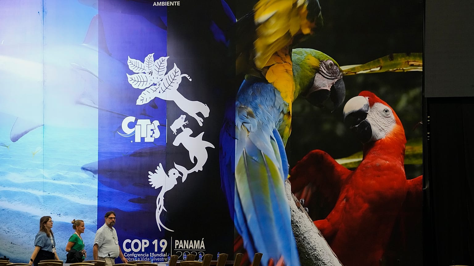Convención sobre el Comercio Internacional de Especies Amenazadas celebrada en Panamá.