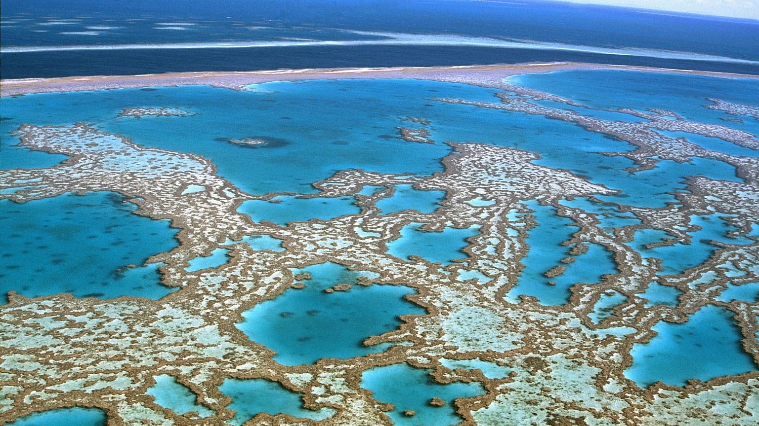 A joint report from the UNESCO World Heritage Centre and International Union for Conservation of Nature  has warned that the Great Barrier Reef is 'in danger.'