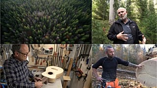Climate's toll threatens the sound of music in Swiss forest.