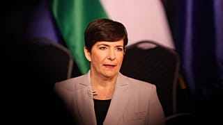 Dobrev Klára DK-s politikus, a baloldali S+D csoport EP-képviselője