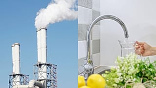 Forever chemicals - also known as PFAS, or Perfluoroalkyl and Polyfluoroalkyl Substances - are used in everything from cosmetics to kitchenware.