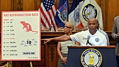 New York Valisi Eric Adams kentteki fare nüfusunu azaltma planını açıkladı