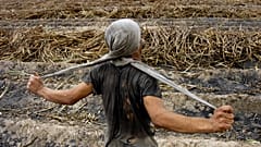  8ης Μπιενάλε Σύγχρονης Τέχνης Θεσσαλονίκης 