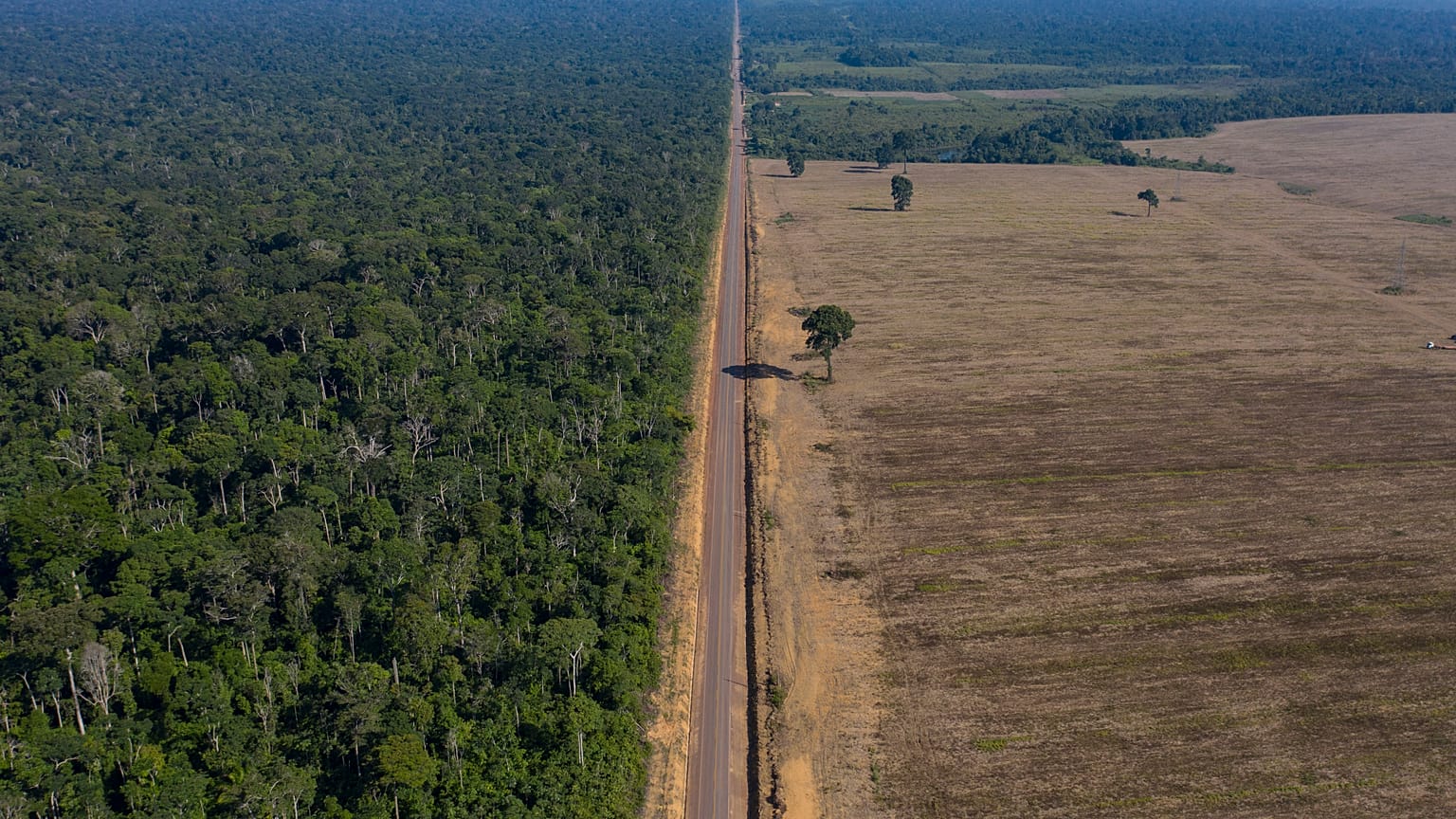 Amazon Rainforest