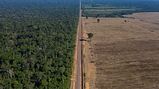 Amazon Rainforest