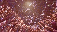FDA approves first faecal transplant treatment for hard-to-treat gut infections