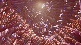 FDA approves first faecal transplant treatment for hard-to-treat gut infections