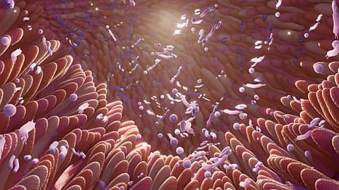 FDA approves first faecal transplant treatment for hard-to-treat gut infections