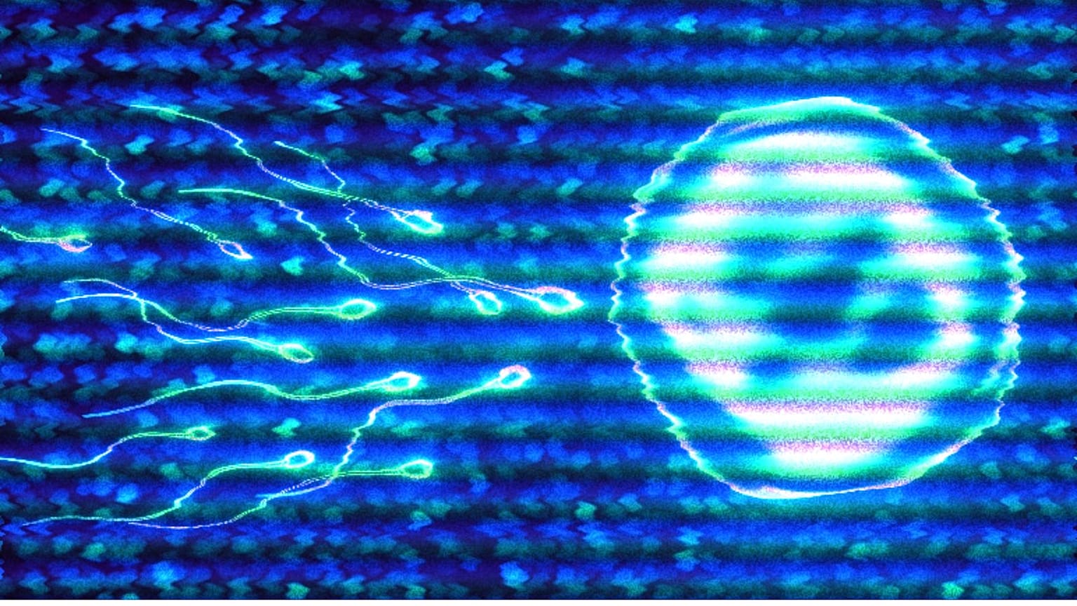 Alarming research shows sperm counts have more than halved worldwide in the past five decades, and that the trend is accelerating. How worried should we be? 