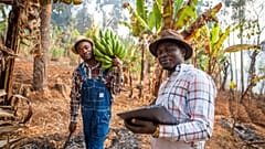 Intelligente Landwirtschaft mit digitalen Geräten zur Überwachung der Ernten in Südafrika