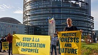 Διαδήλωση κατά της αποψίλωσης των δασών έξω από το Ευρωπαϊκό Κοινοβούλιο στο Στρασβούργο