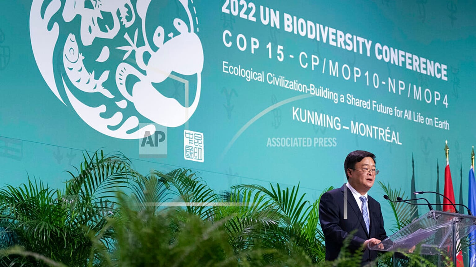 Cerimonia di apertura della Conferenza delle Nazioni Unite sulla biodiversità Montreal.
