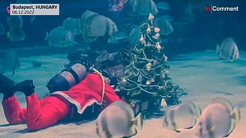 A scuba diver dressed as Santa decorates a shark tank at the Tropicarium Shark Zoo in Budapest, Hungary.