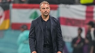 هانزي فليك