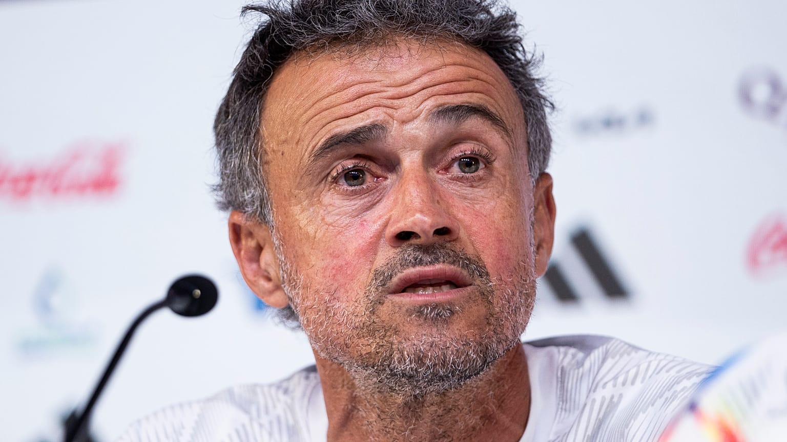 Spain's head coach Luis Enrique speaks to reporters during a news conference at Qatar University, in Doha, Qatar, Wednesday, Nov. 30, 2022. 